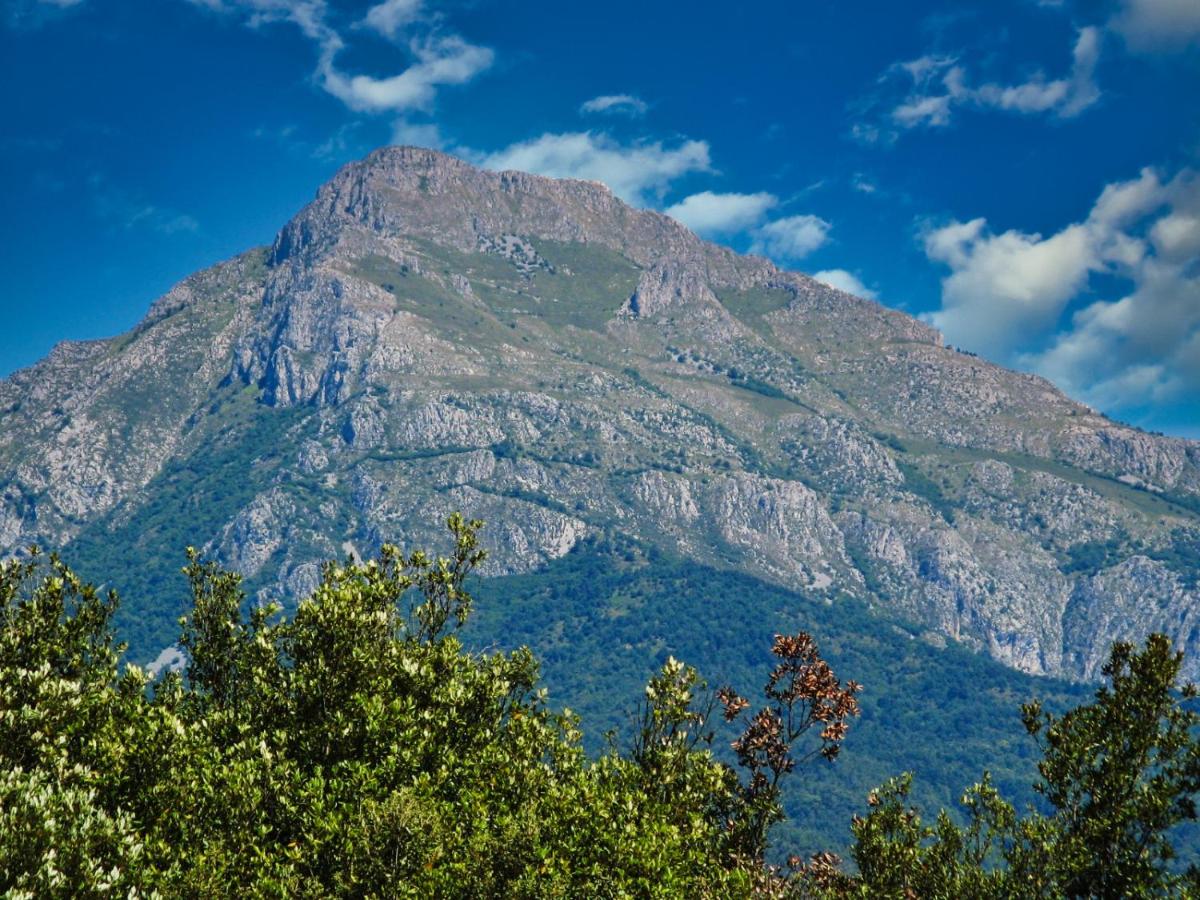 L'ortensia - Housity