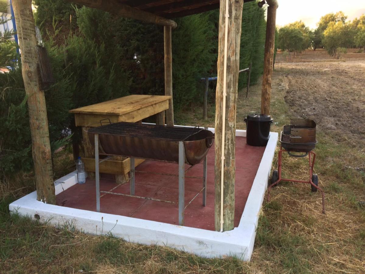Casa no Monte Ninho das Perdizes perto Cercal do Alentejo - Housity