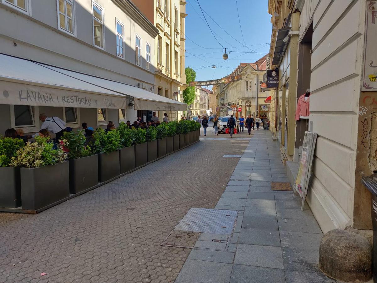 Metropolis Apartments - Hizvo