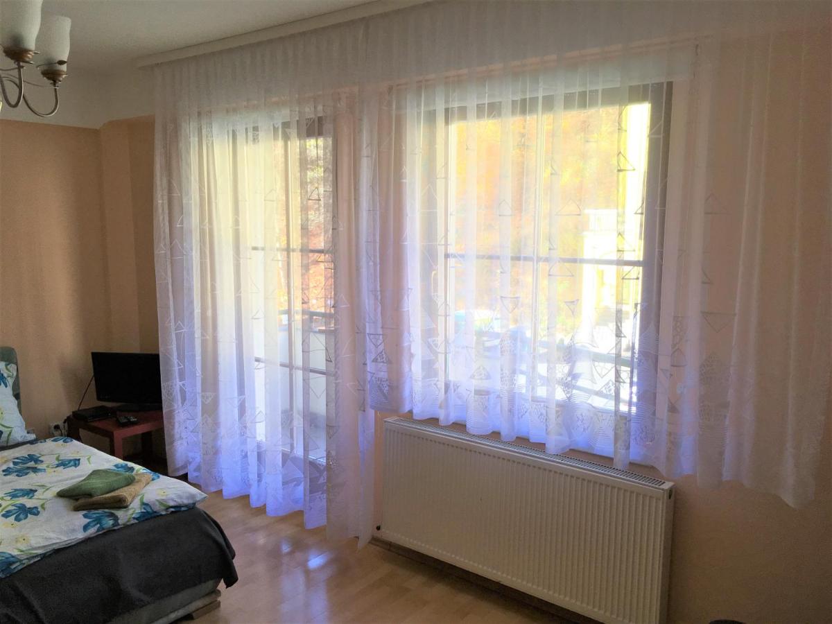 Apartmany Jachymov - Housity