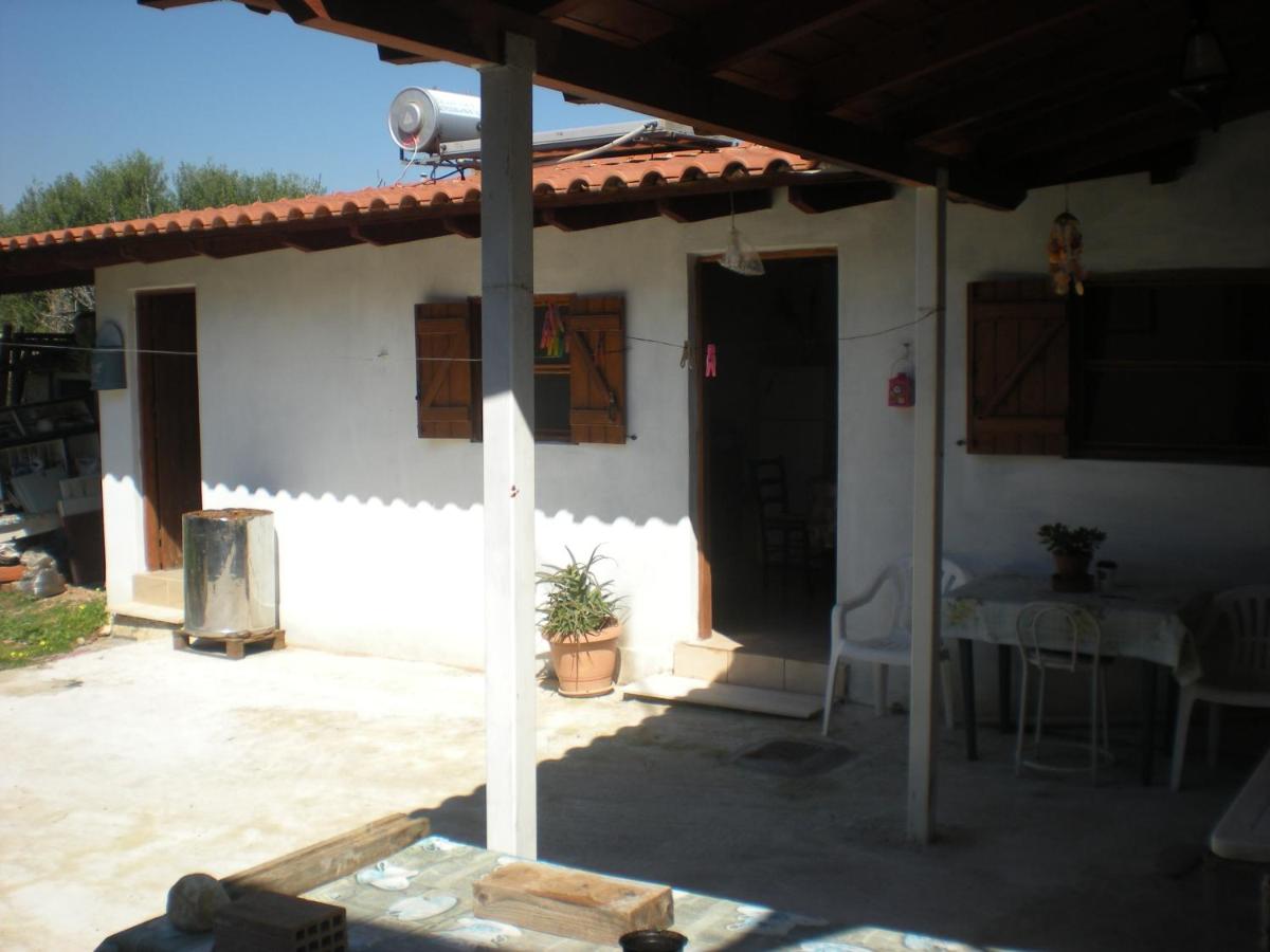 Petalidi Gedigio - Housity