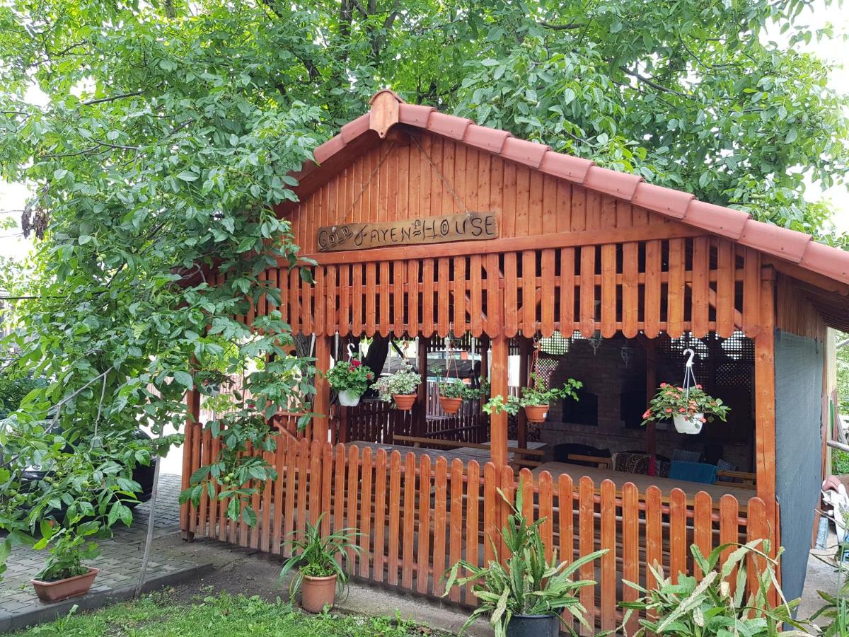 Gold Fayen House Cheile Turului - Housity