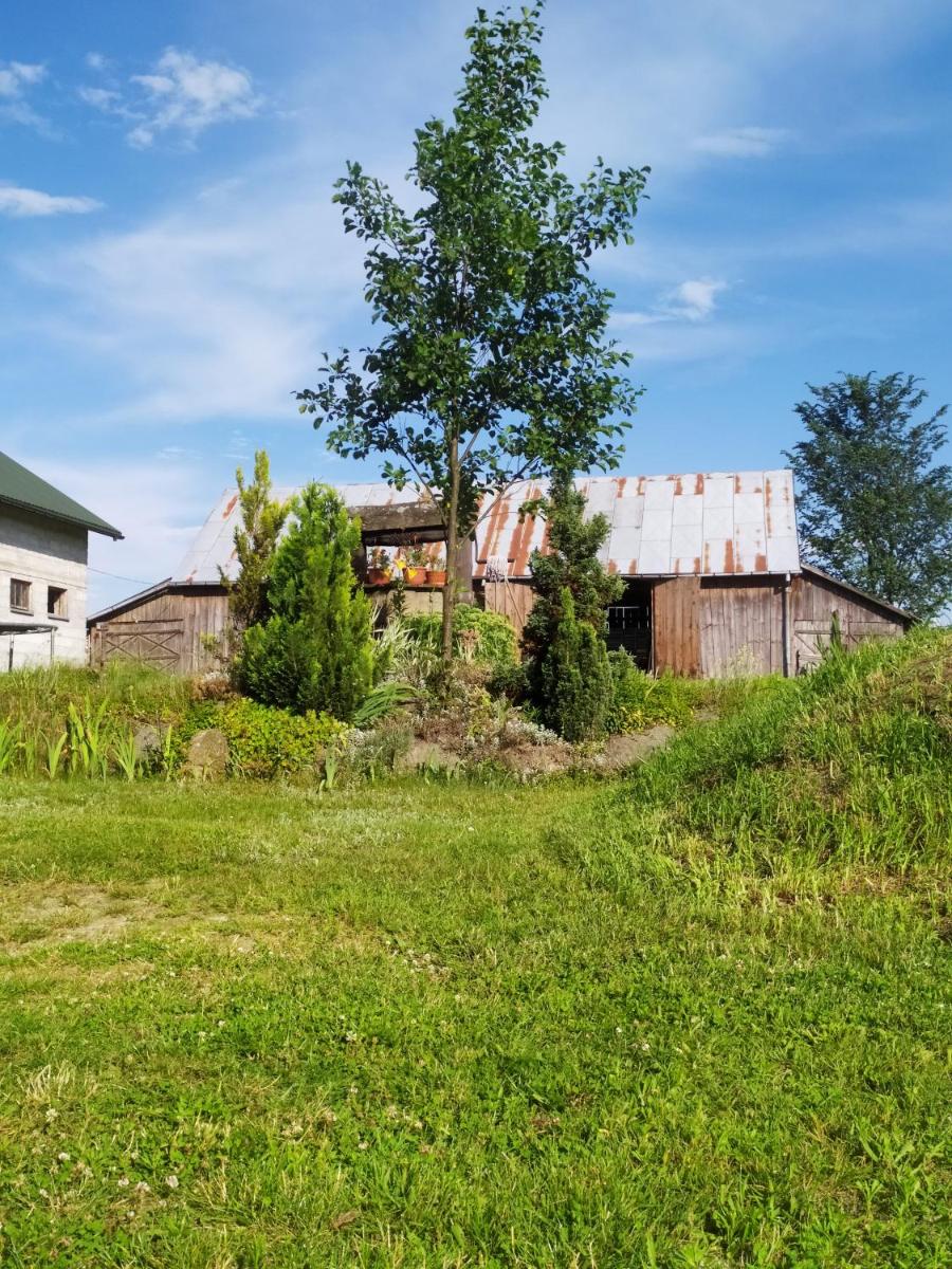 Borsuki pod Lipą - Housity