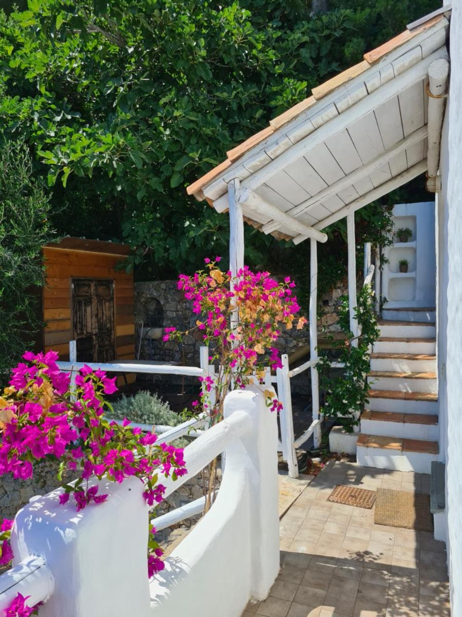 Soqquadro Art&Relax - Spotorno (SV) Sea View - Housity