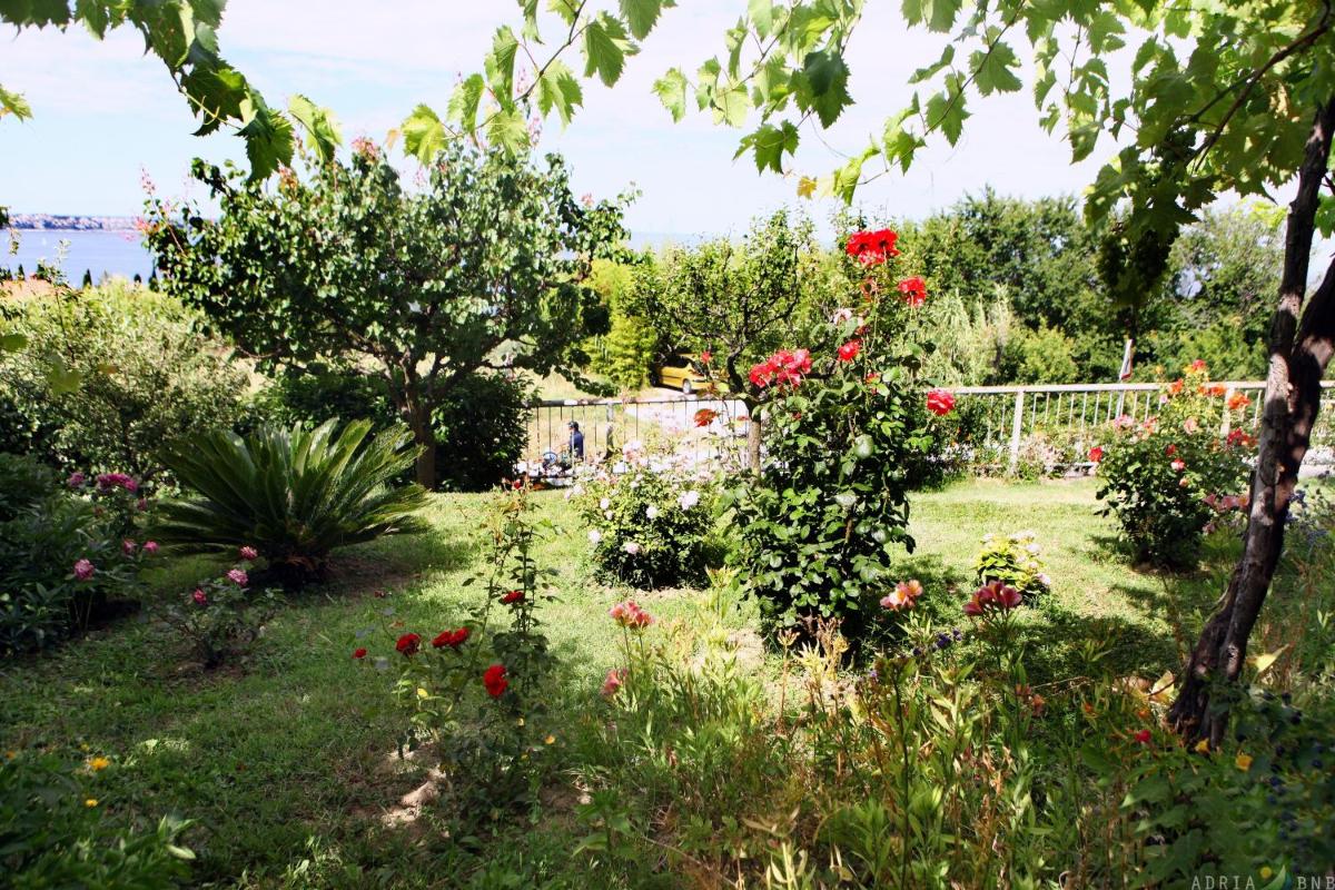 Sea View Apartments ORKO - Housity