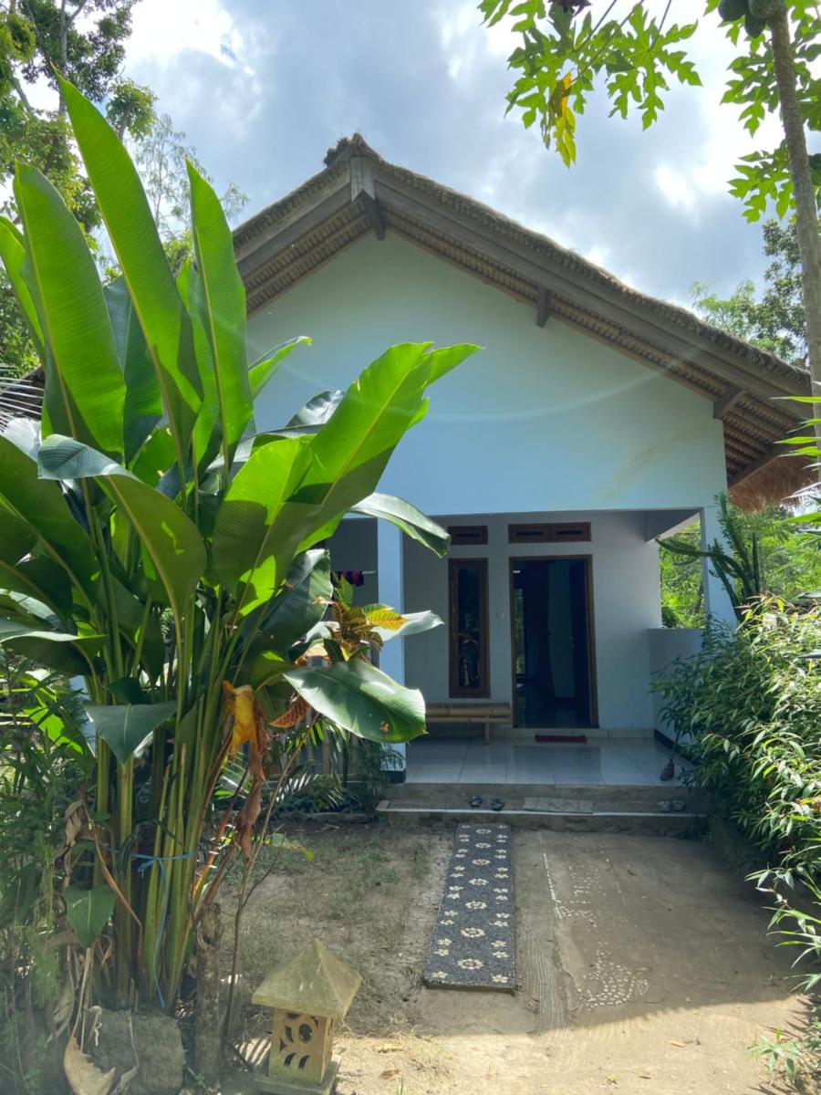 Rimba Bungalow - Housity