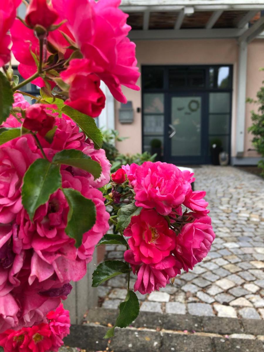 Faupel Ferienwohnung - Housity