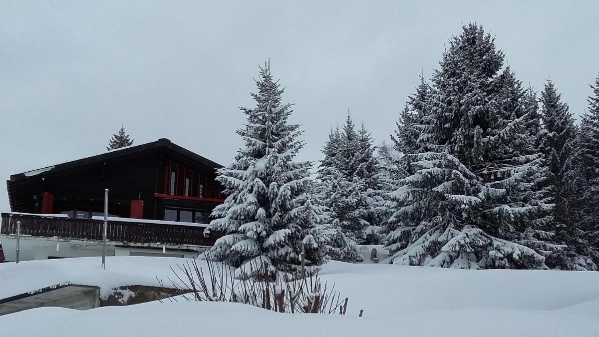 Appartement Chantilu - Housity
