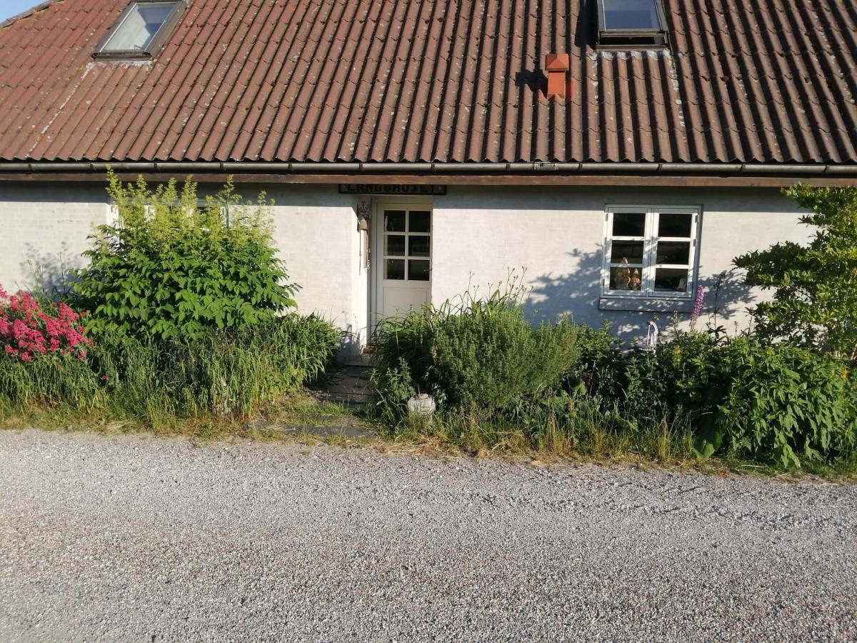 Langøhuset - Housity