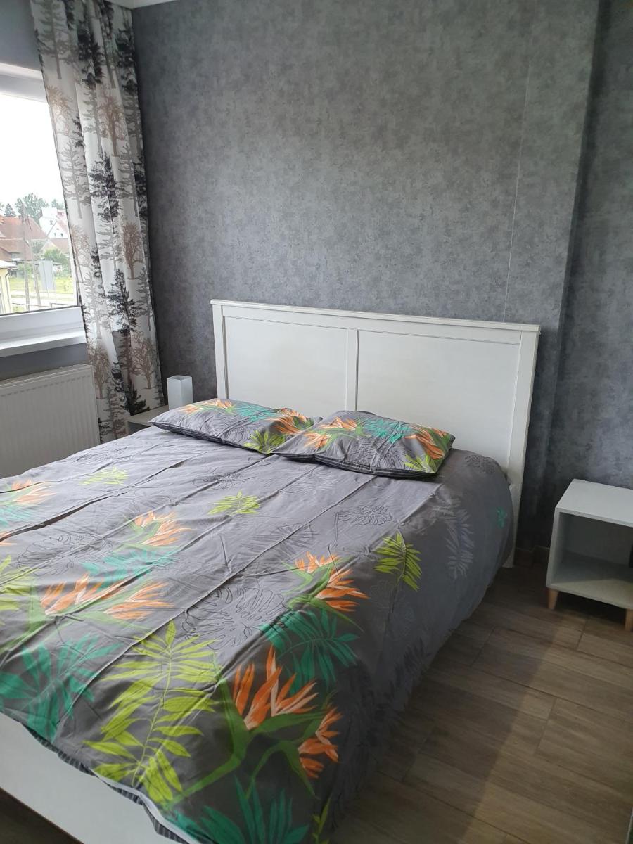 Noclegi Róża Wiatrów - Housity