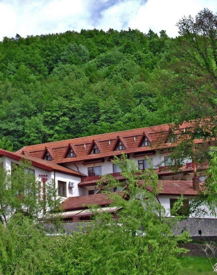 Hotel McPietroasa - Housity