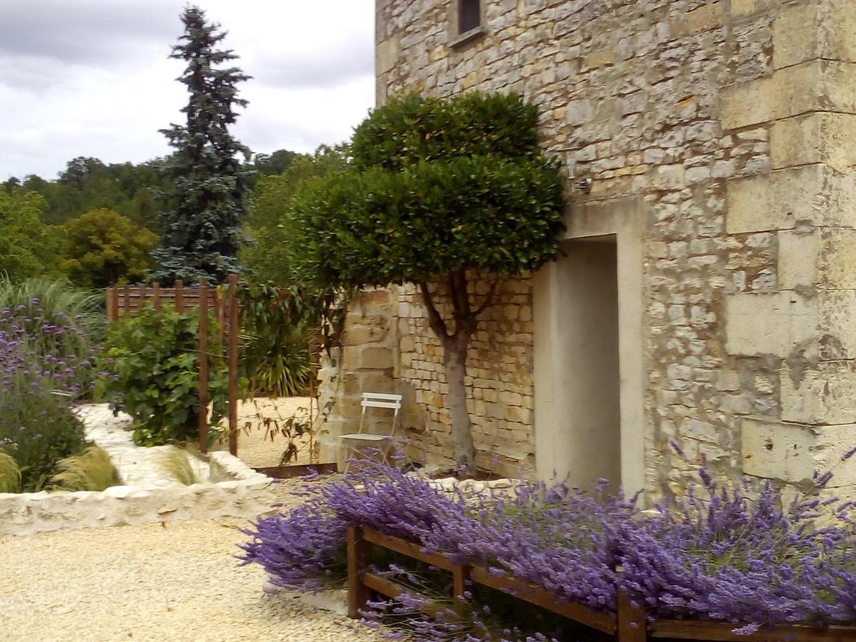 La Maison Tumtum Arbre - Housity