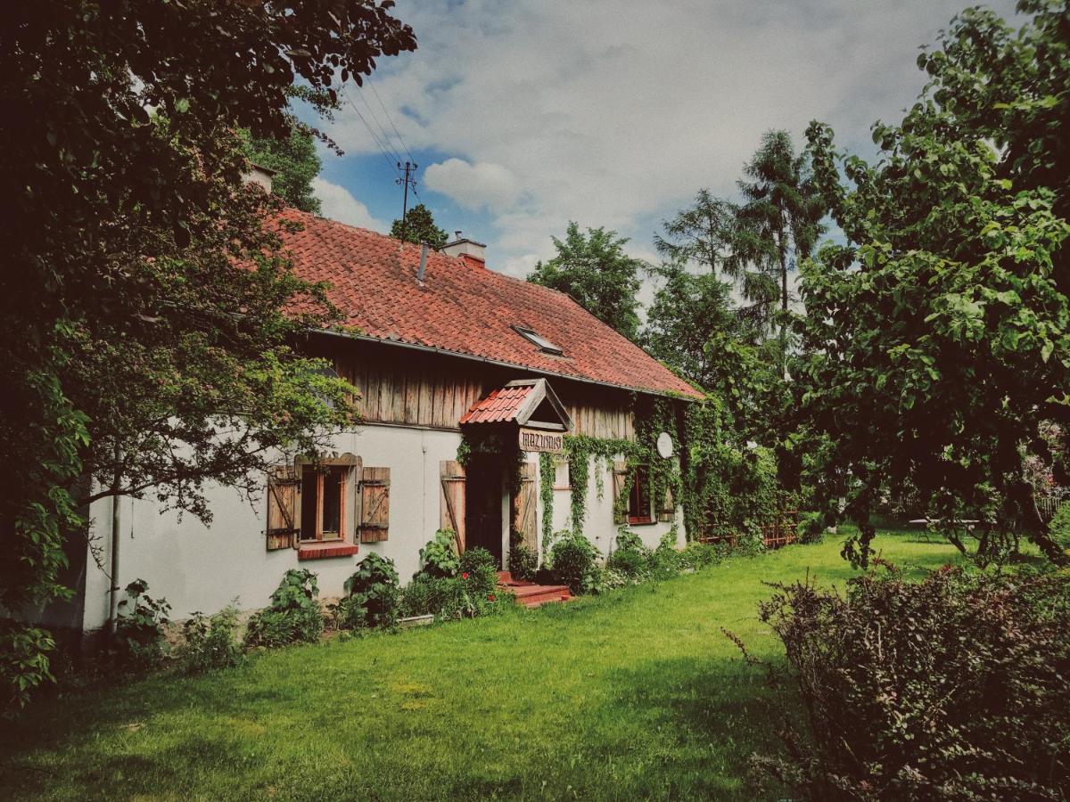 Mazurus 1 - Housity