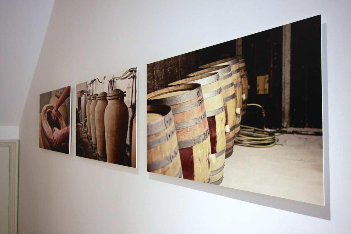 Appartements du Vin - Housity