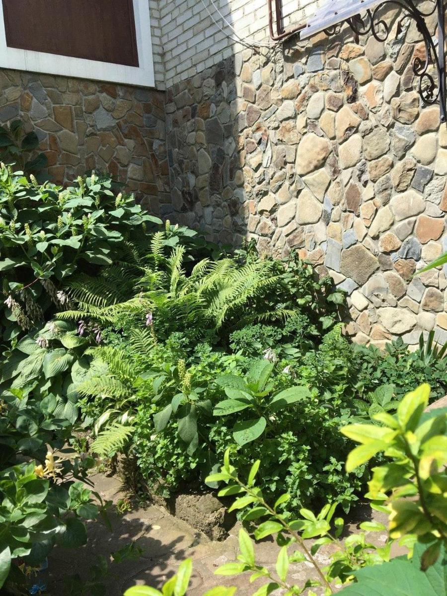 Usadba Bilya Richky - Housity