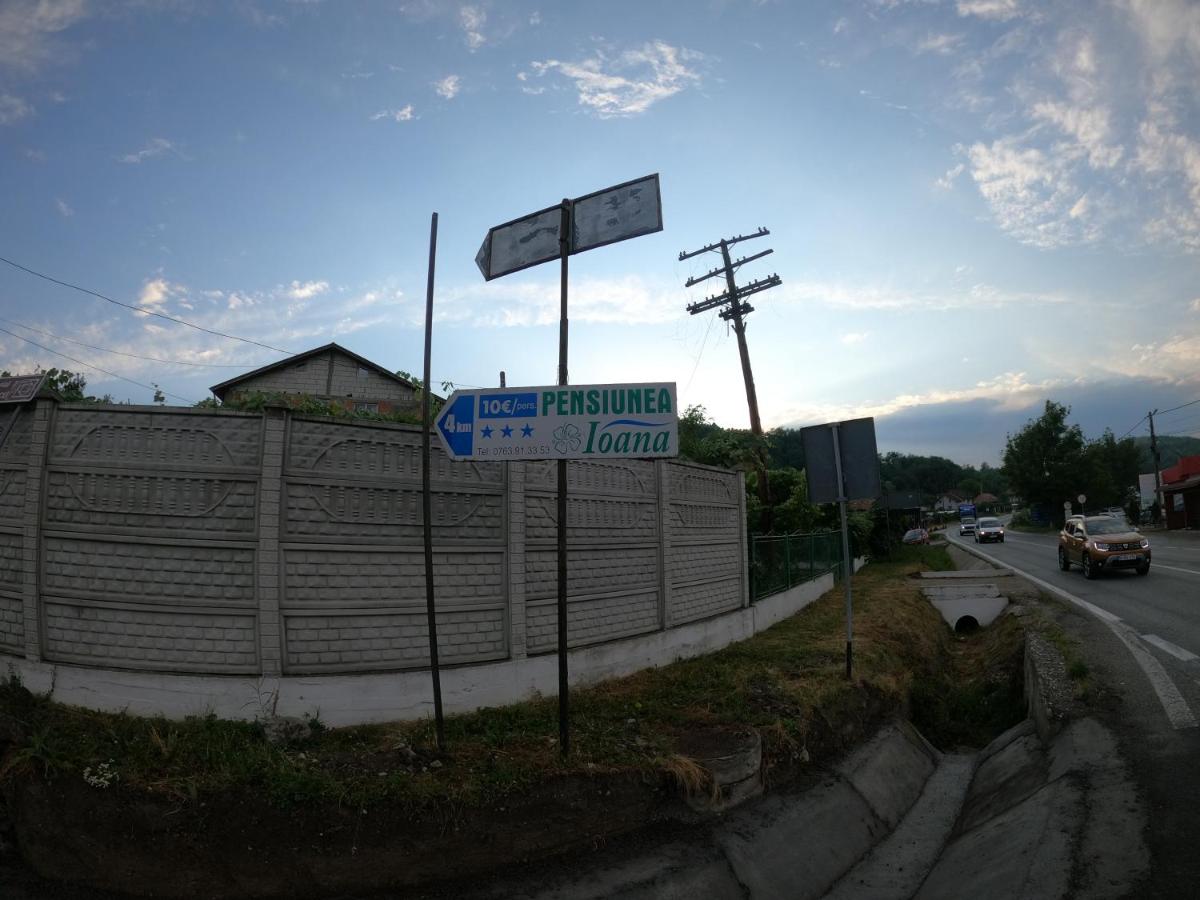 Pensiunea Ioana - Housity