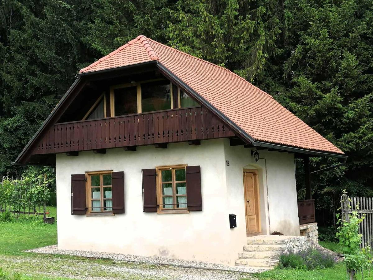 Holiday house apartment Voukov mlin - Housity