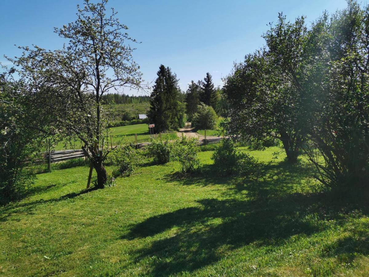 Wanha Havon Koulu yksiö - Housity