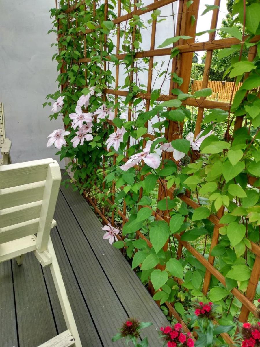 Apartament przy Kamiennej Chacie - Housity