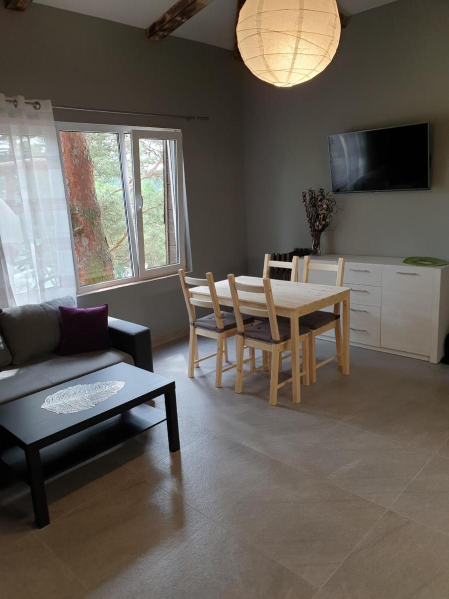 Apartament pod Sosnami 2 noclegi OTW Borówno WLK Skarszewy - Hizvo