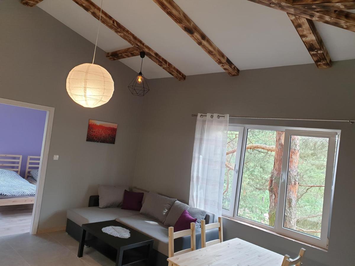 Apartament pod Sosnami 2 noclegi OTW Borówno WLK Skarszewy - Hizvo