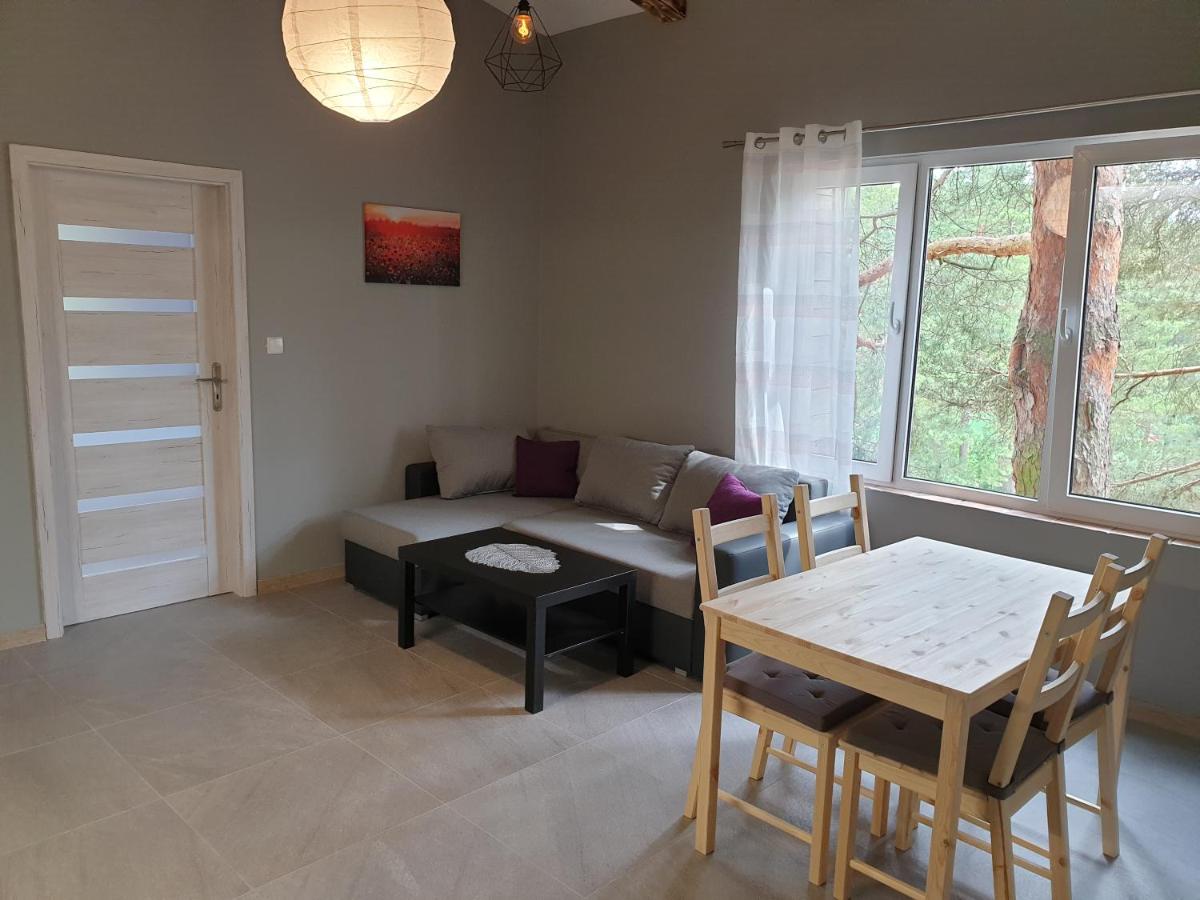 Apartament pod Sosnami 2 noclegi OTW Borówno WLK Skarszewy - Hizvo