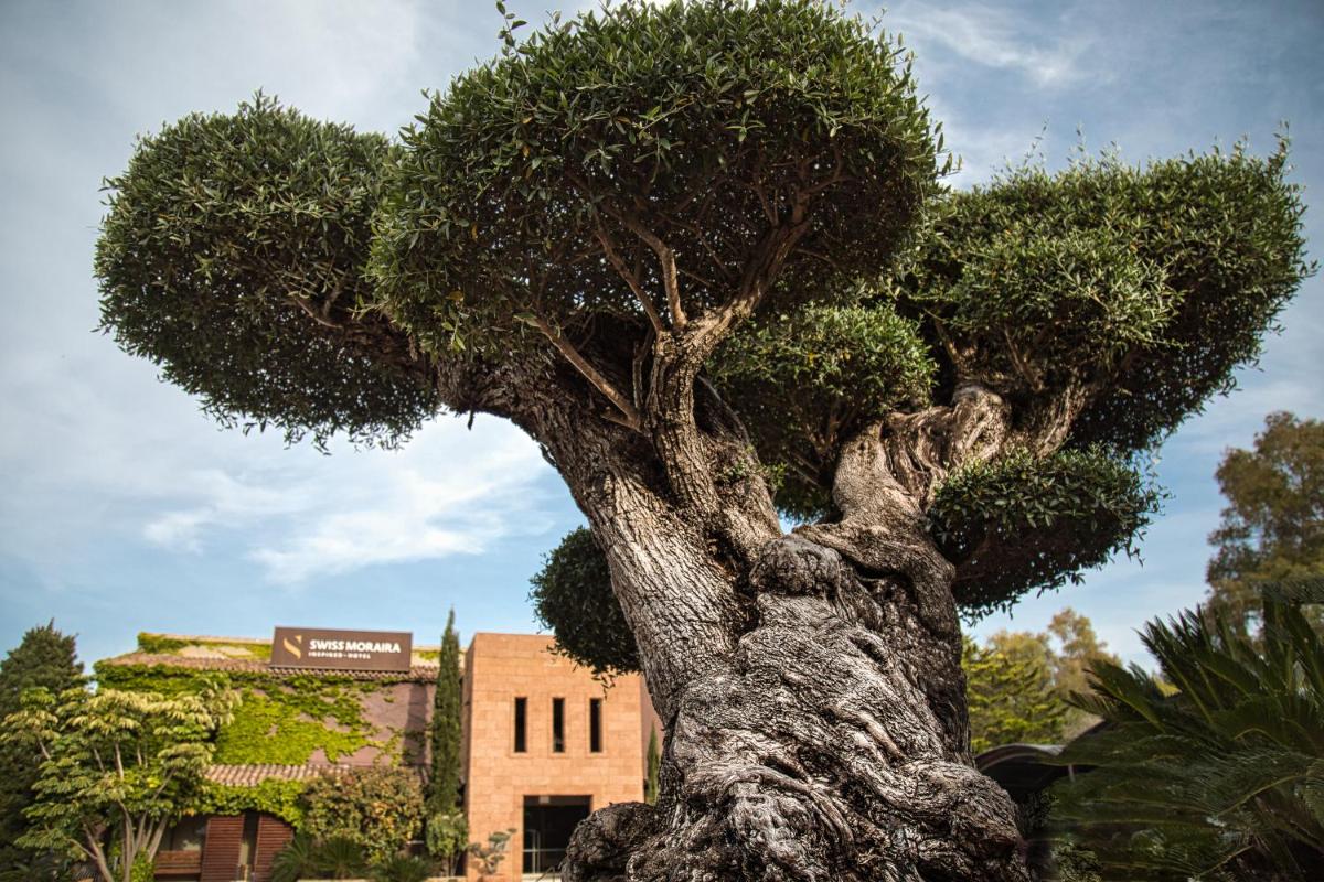 Jardín al aire libre en SWISS MORAIRA HOTEL & SPA - Adults only