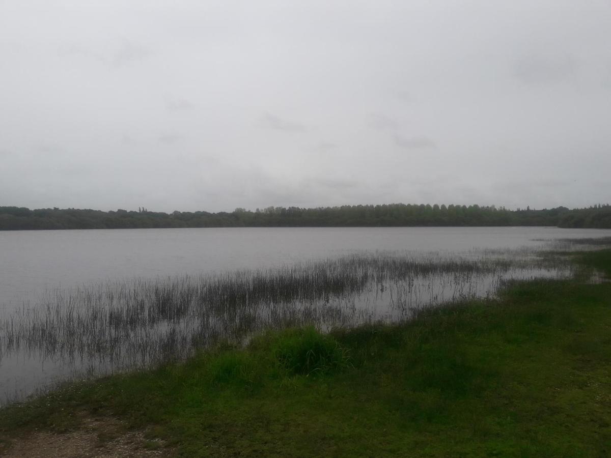 beau t2 tharon - Housity