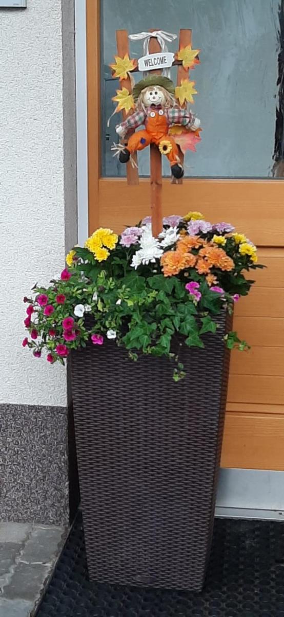 Appartement Barbara - Housity
