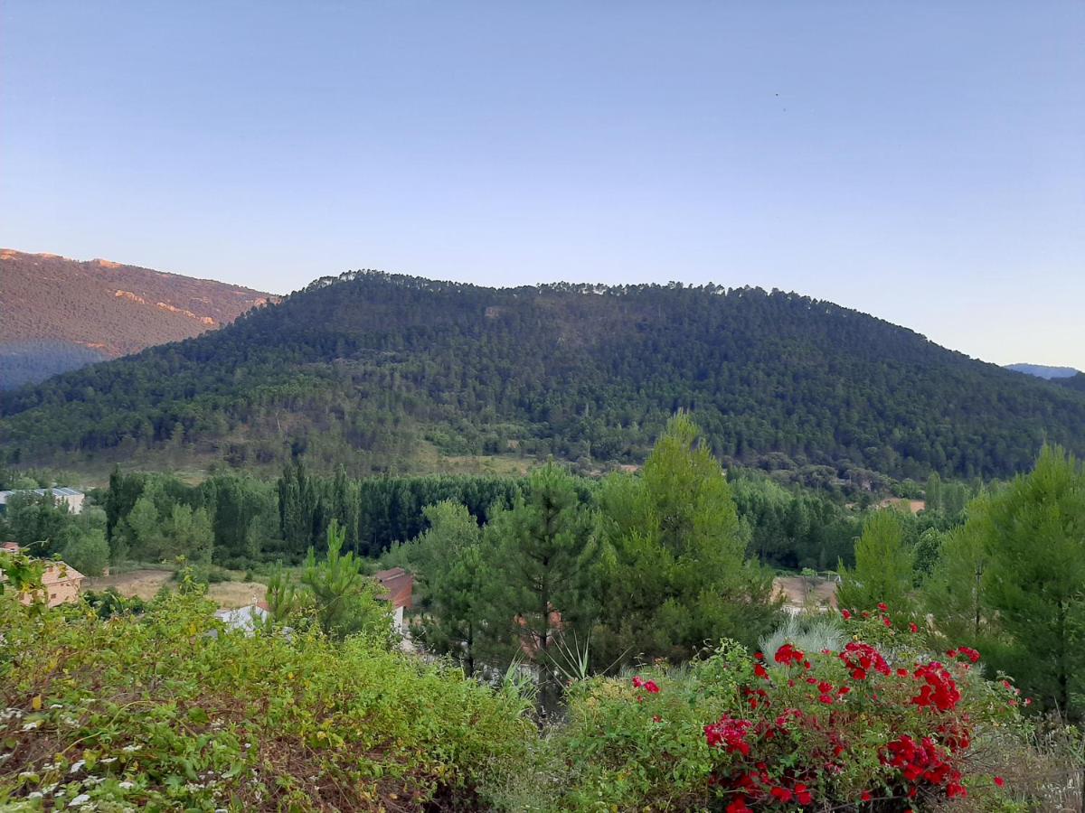 Cibanto de las Maravillas - Housity