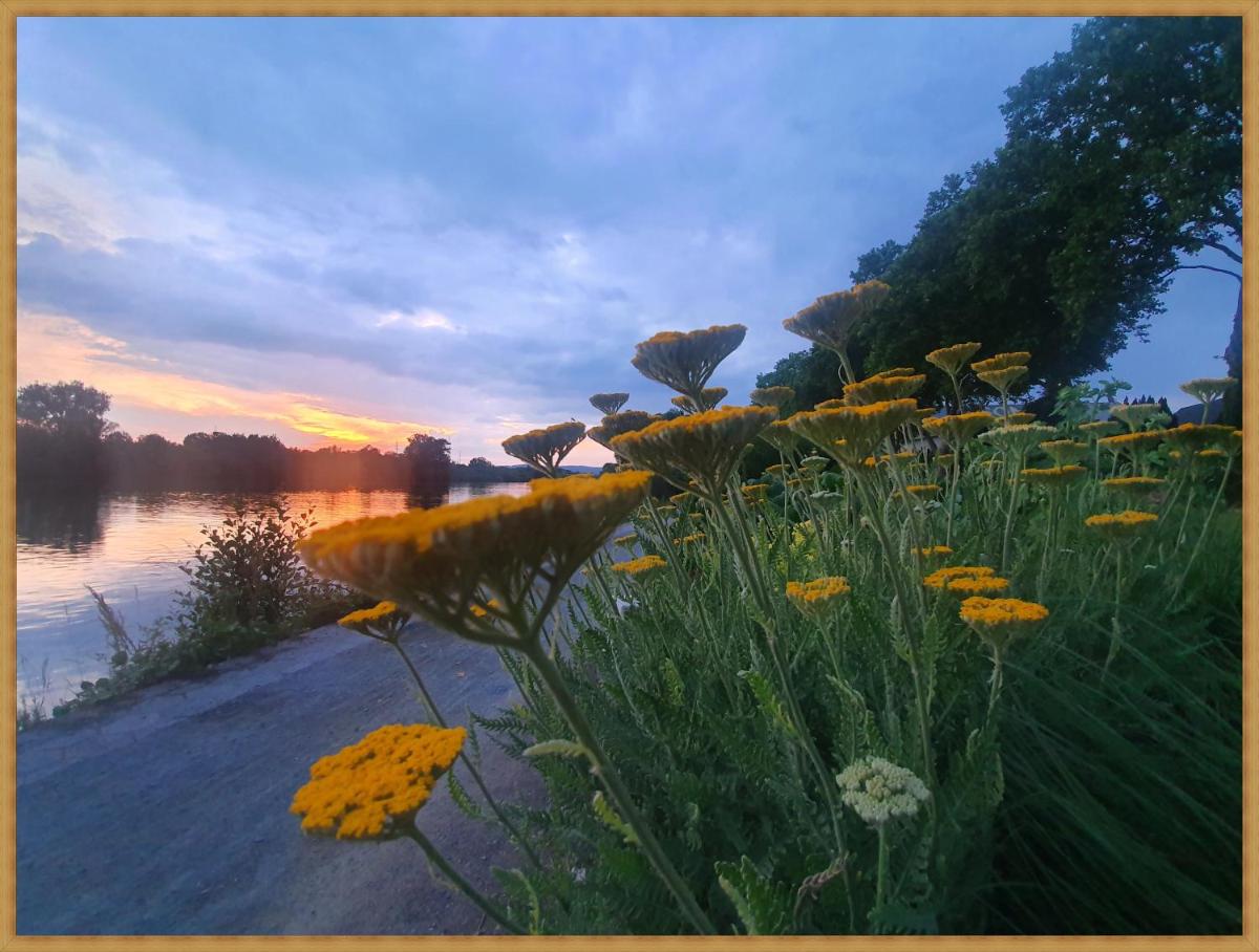 Kolev Apartments - Housity