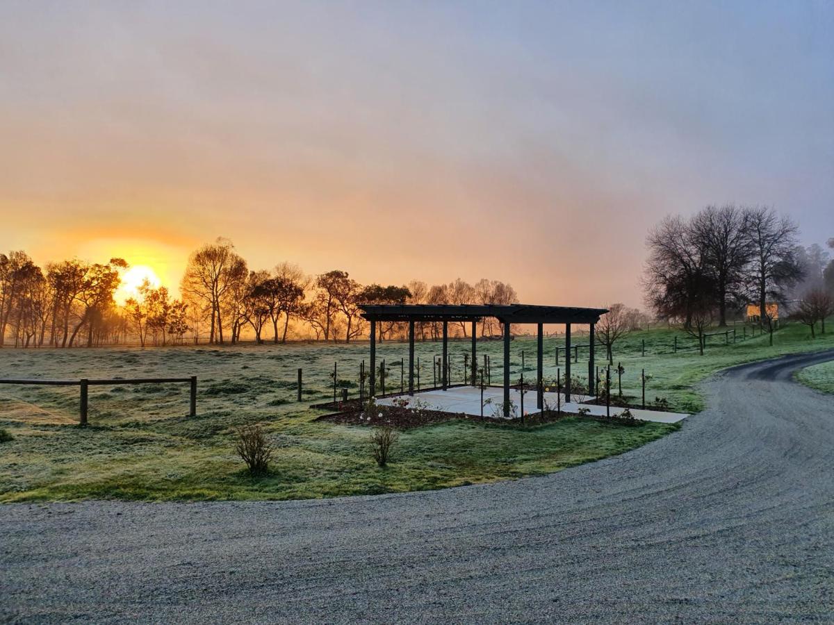 Tallawarra Homestead - Housity