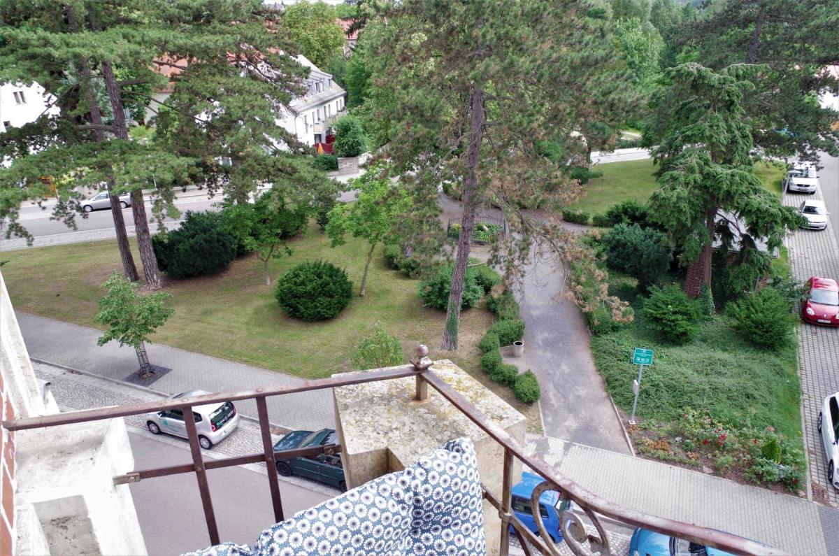 Lichtblick - sonnige Ferienwohnung in Meißen am Lutherplatz - Housity