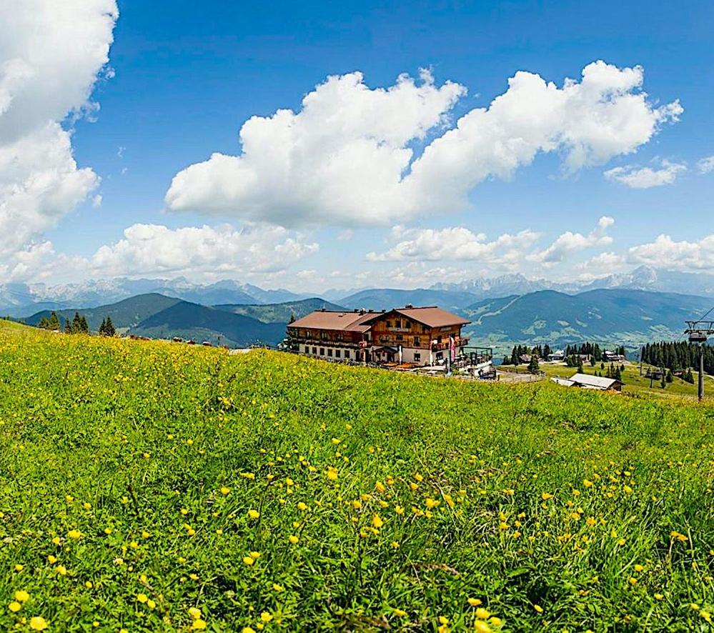 Gasthof Jandlalm - Housity