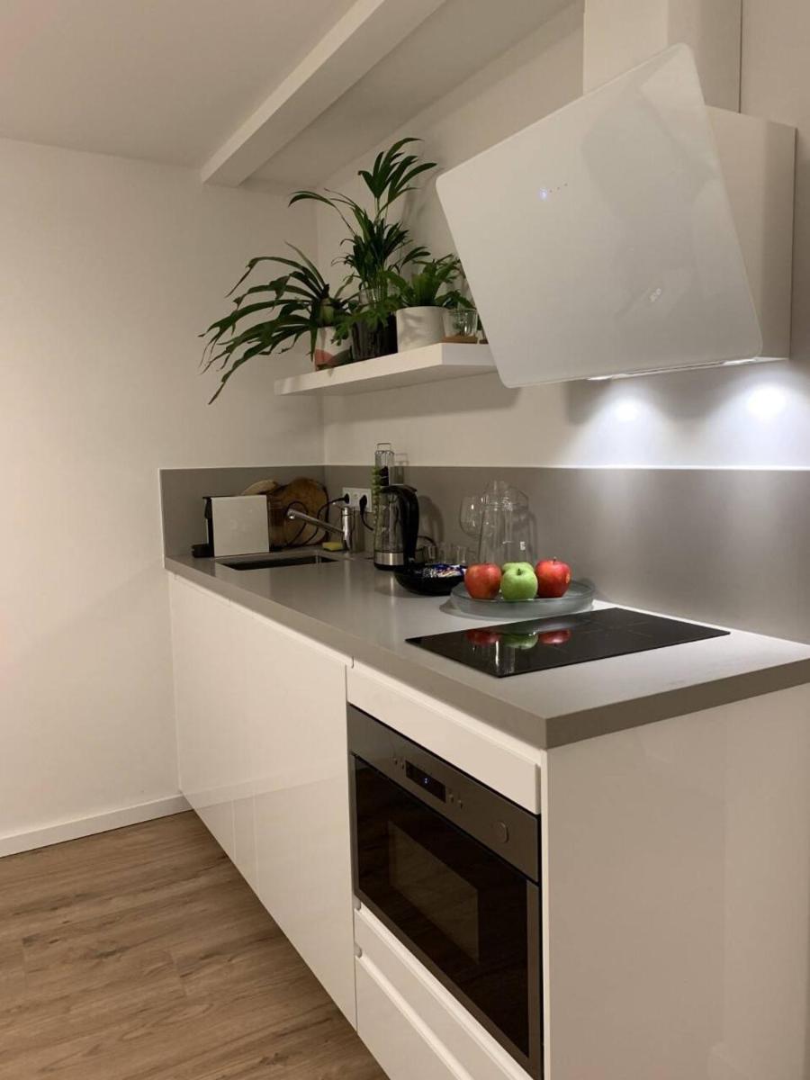 Designer Loft Apartment in Delft city new 38B - Housity