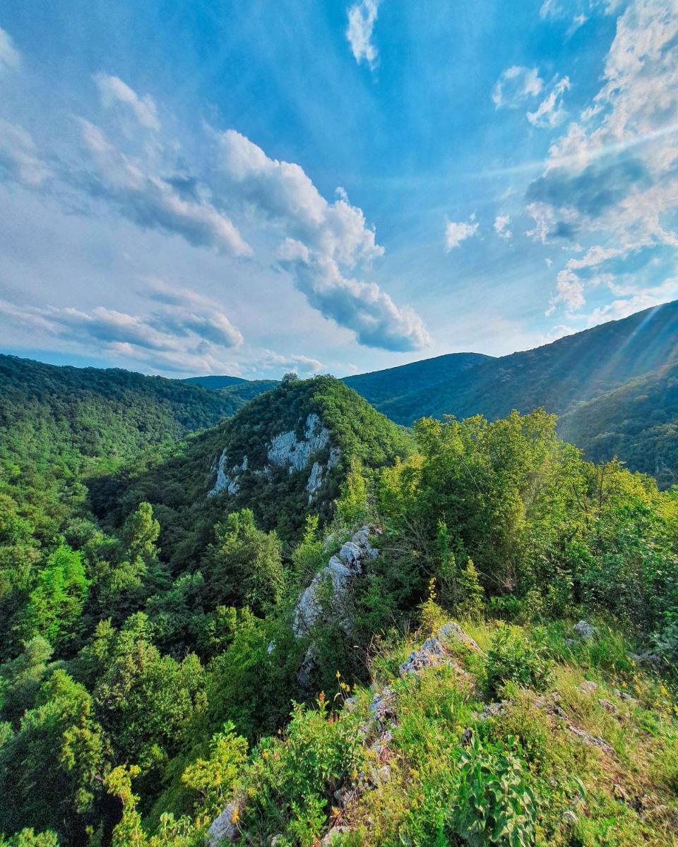 Restoran sa prenoćištem Gornjak - Housity