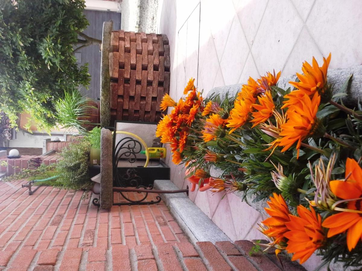 Bed&Breakfast La Siepe - Housity