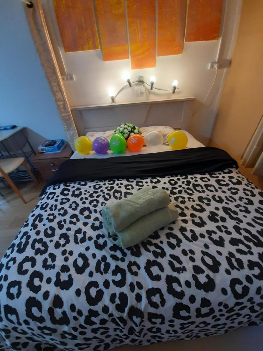 Suite- Studio- Zimmer - Housity