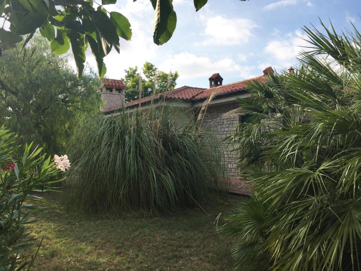 La Casa nel Verde - Housity