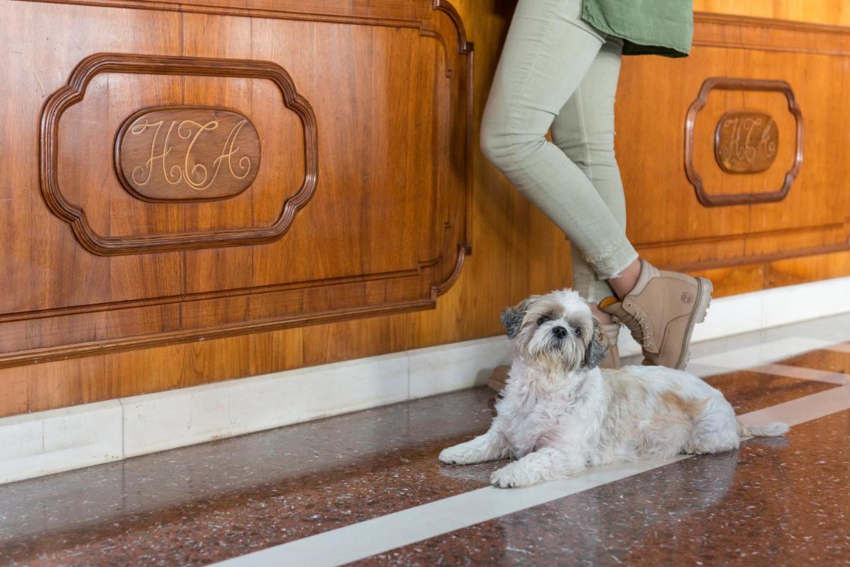 Mascotas con sus dueños en Hotel Torre Azul & Spa - Adults Only