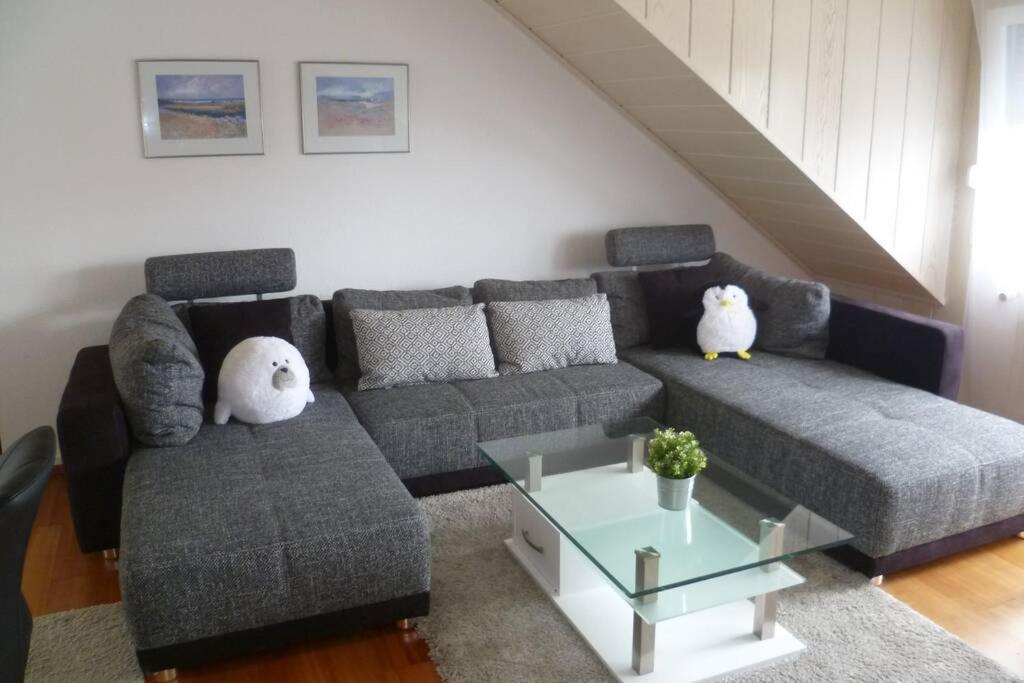 Ferienwohnung nördliches Münsterland - Housity