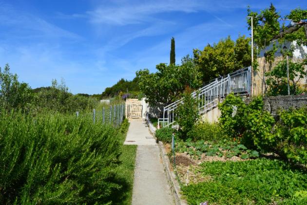 Mediterranean House - Forest Marjan - Housity