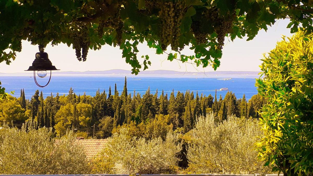 Mediterranean House - Forest Marjan - Housity