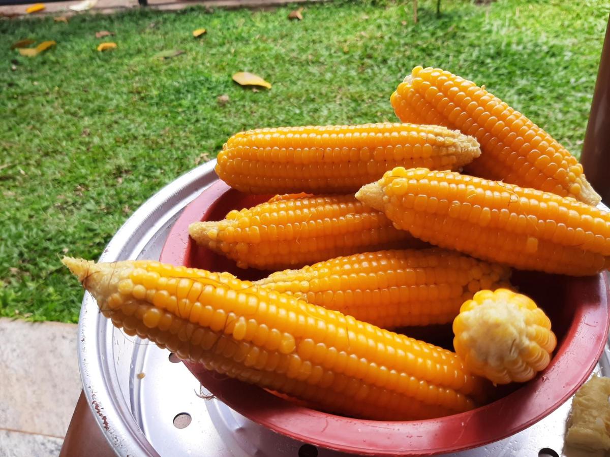 Mangohut Joy - Housity