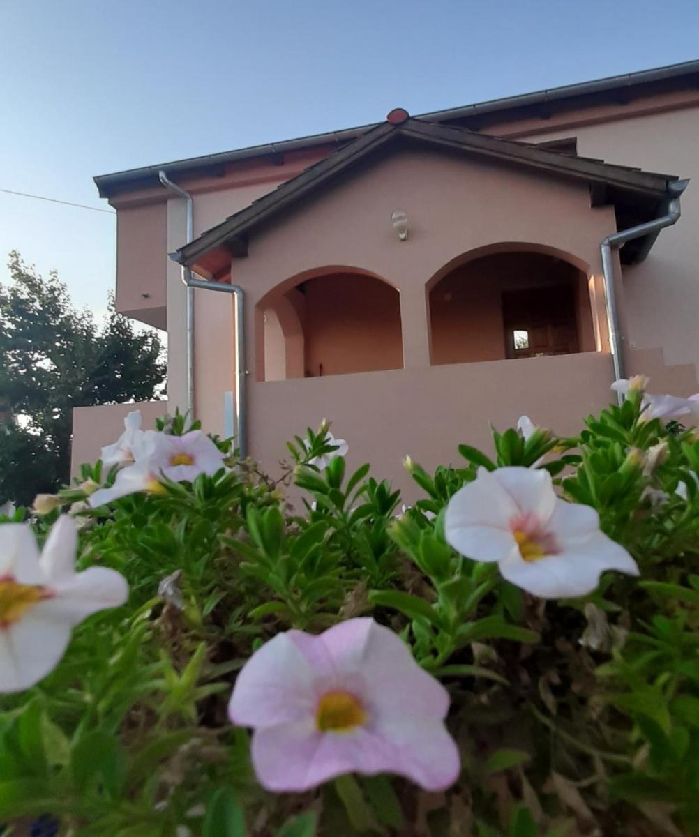 Apartments Cherry - Housity