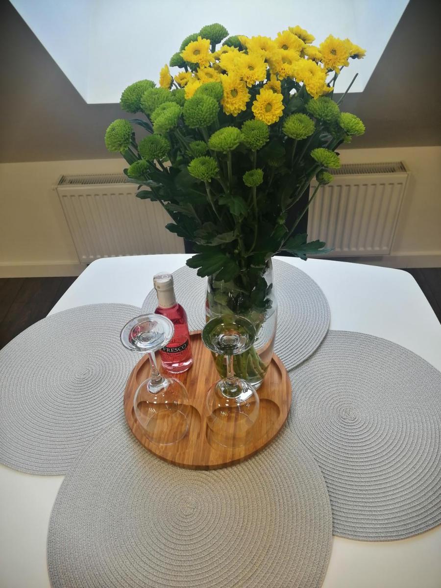 VIP Apartament Sosnówka - Housity