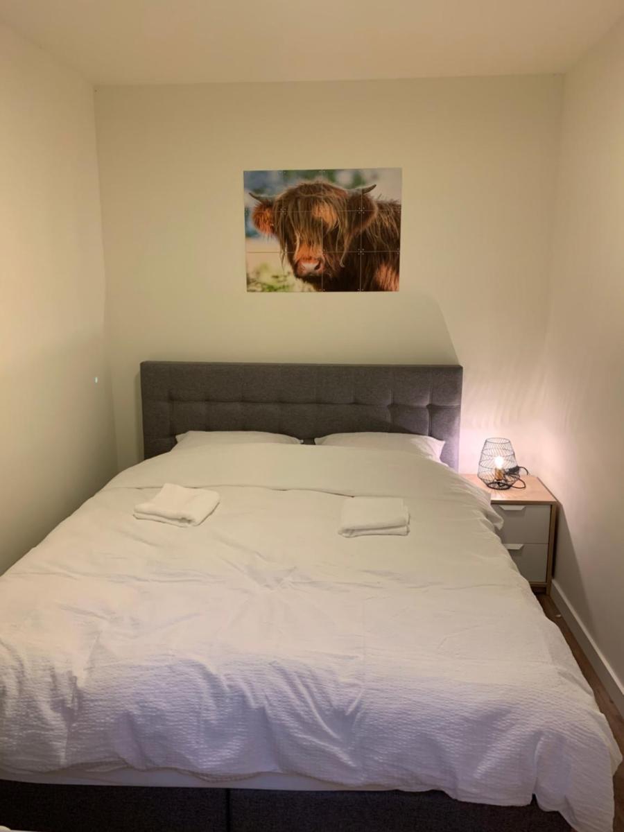 De Wollige Hooglander: in comfort middenin natuur - Housity