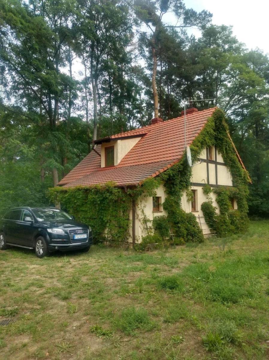 Żółty Domek nad Jeziorem Lubniewice - Housity