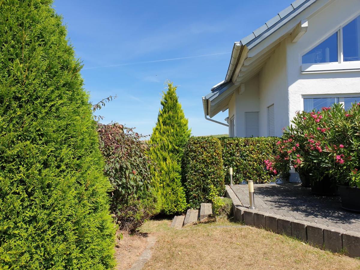 Haus Kölsch - Housity