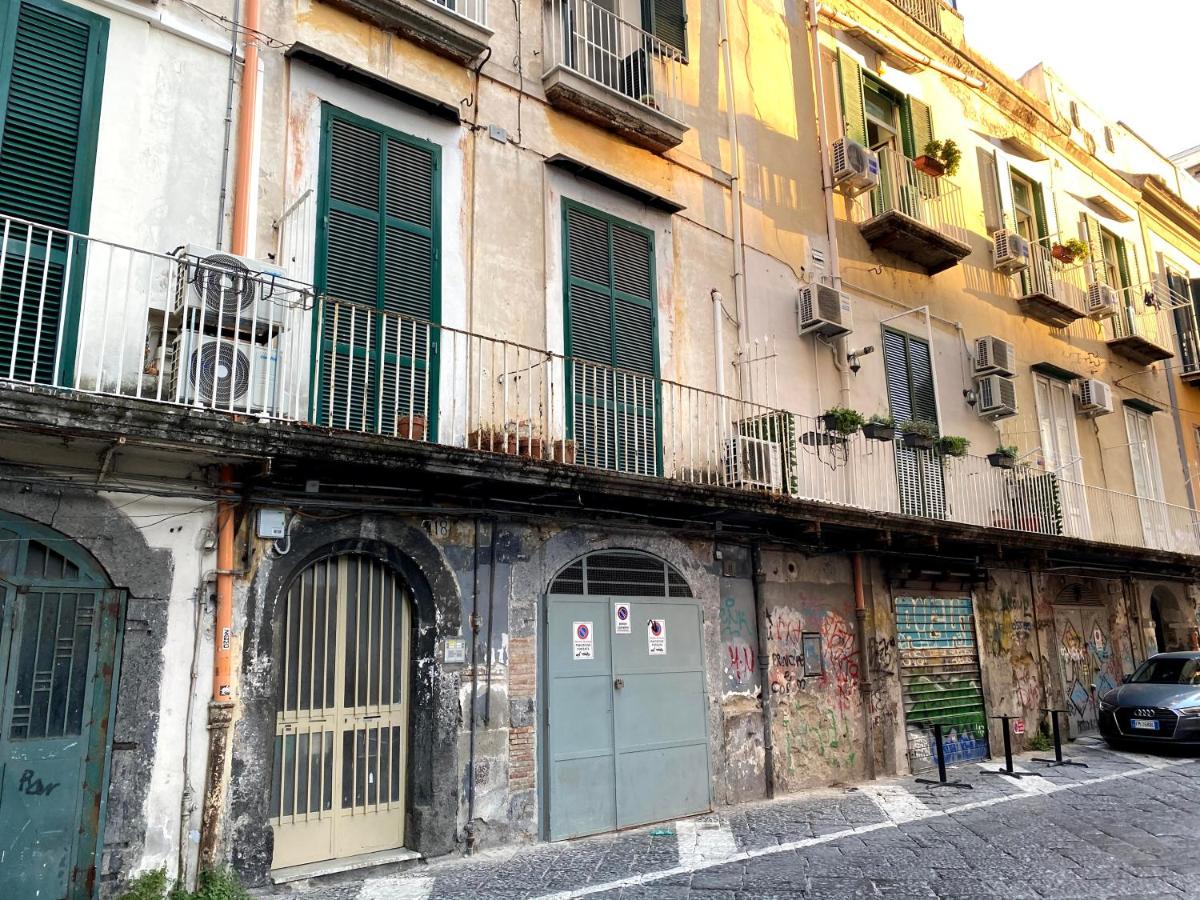 Caprese Experience - Light Blu Apt - Dante - Housity